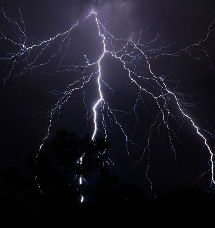 &ldquo;No One Ever Believes Me&rdquo;: 67 People Share Stories They Swear Actually Happened