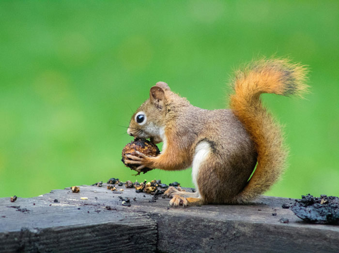 &ldquo;No One Ever Believes Me&rdquo;: 67 People Share Stories They Swear Actually Happened