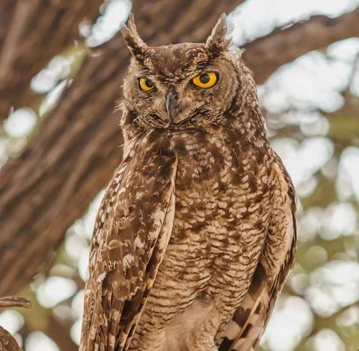 &ldquo;No One Ever Believes Me&rdquo;: 67 People Share Stories They Swear Actually Happened