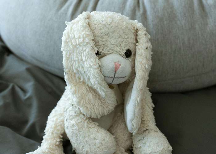 87 People Are Sharing Stories About Their Weird Roommates And It’s Wild