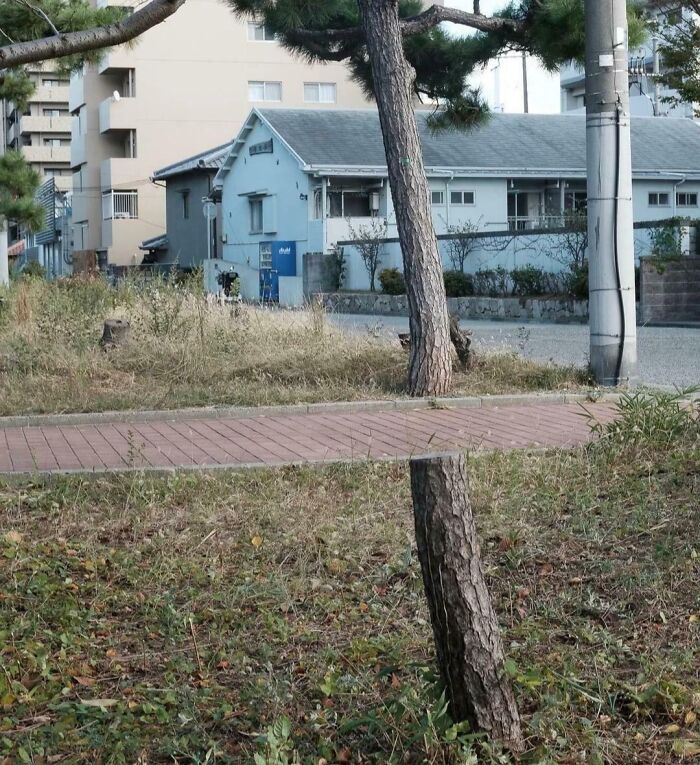 115 Misleading And Confusing Photos That Seem Like A Glitch In Real Life (New Pics)