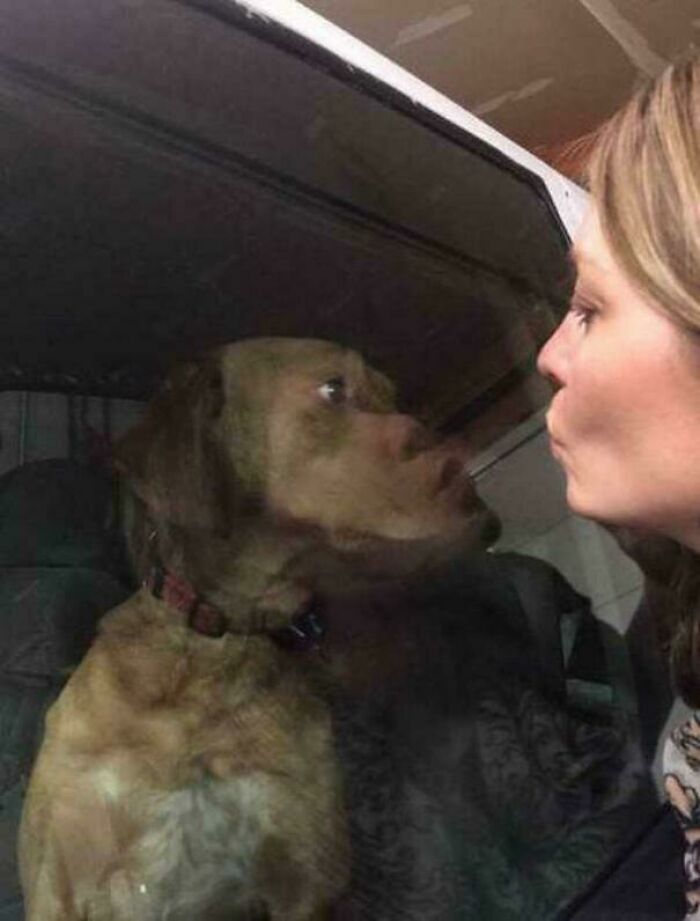 115 Misleading And Confusing Photos That Seem Like A Glitch In Real Life (New Pics)