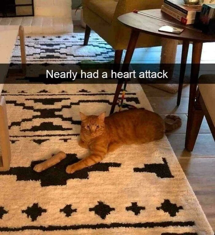 115 Misleading And Confusing Photos That Seem Like A Glitch In Real Life (New Pics)