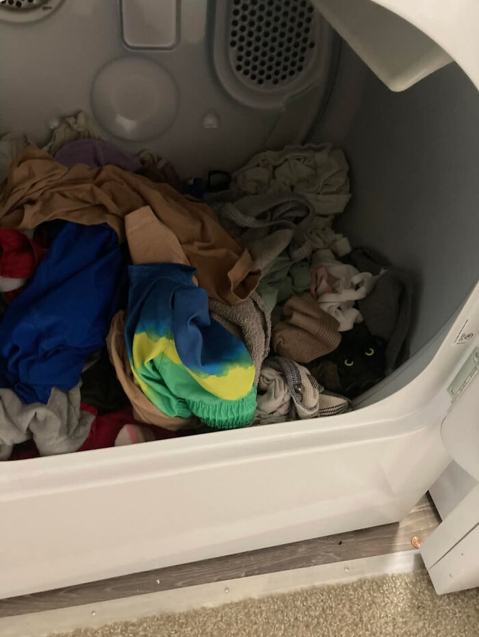 115 Misleading And Confusing Photos That Seem Like A Glitch In Real Life (New Pics)