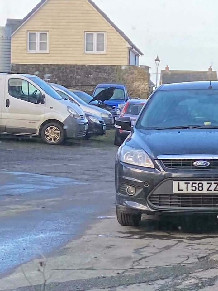 115 Misleading And Confusing Photos That Seem Like A Glitch In Real Life (New Pics)