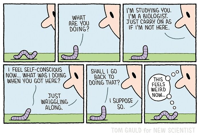 52 Chucklesome Comics By Tom Gauld That Might Take Some Brainpower To Fully Understand (New Pics)