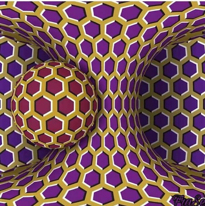 Neuroscience Unplugged: The Ultimate Roundup Of Brain-Bending Optical Illusions