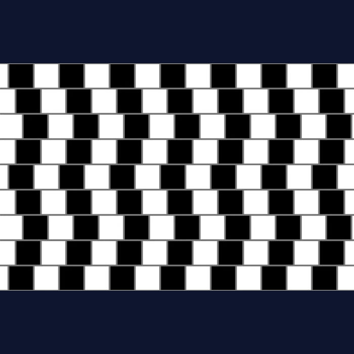 Neuroscience Unplugged: The Ultimate Roundup Of Brain-Bending Optical Illusions