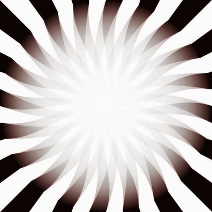 Neuroscience Unplugged: The Ultimate Roundup Of Brain-Bending Optical Illusions