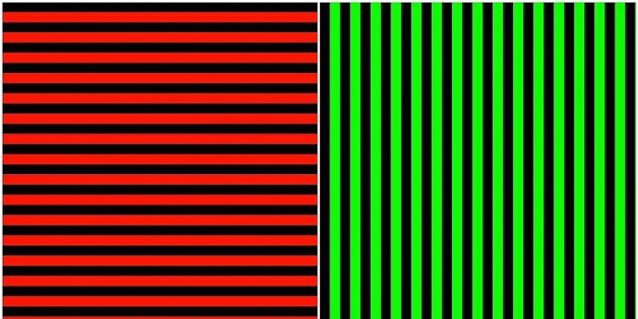 Neuroscience Unplugged: The Ultimate Roundup Of Brain-Bending Optical Illusions