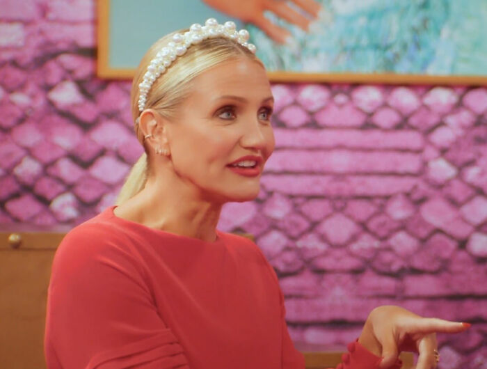 Cameron Diaz’s Simple Look On Jimmy Fallon Sparks Major Plastic Surgery Debate