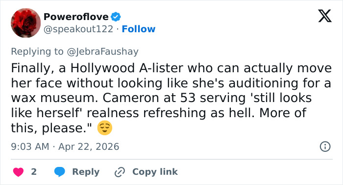 Cameron Diaz’s Simple Look On Jimmy Fallon Sparks Major Plastic Surgery Debate