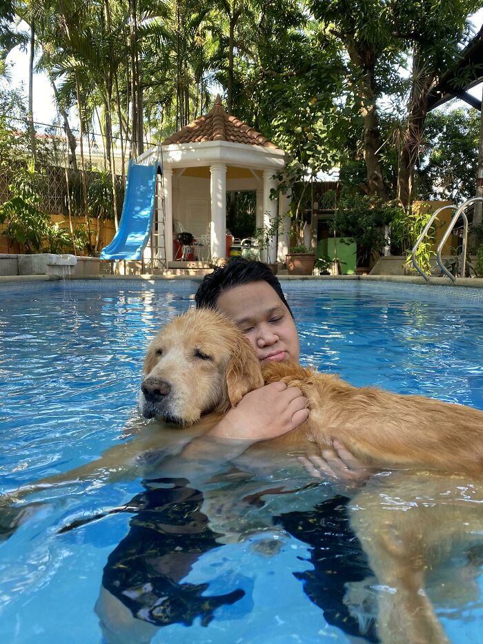 70 Hilarious Photos Of Pets In Water That Capture Every Stage Of Betrayal