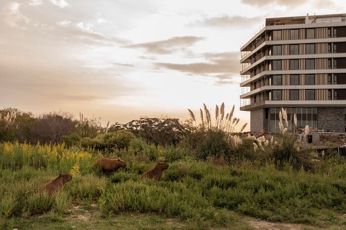 28 Winning Images From The Sony World Photography Awards 2026 That Show The World At Its Most Powerful