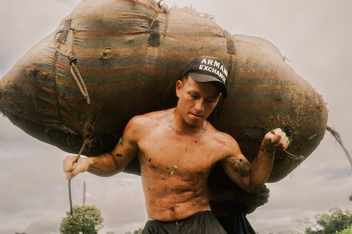 28 Winning Images From The Sony World Photography Awards 2026 That Show The World At Its Most Powerful