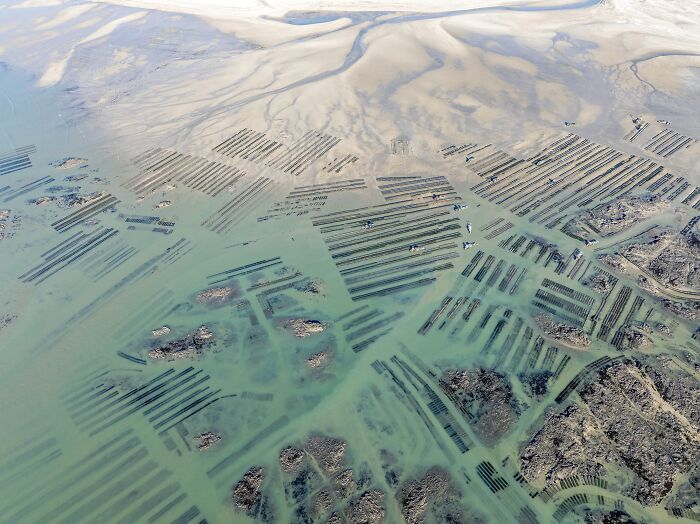 28 Winning Images From The Sony World Photography Awards 2026 That Show The World At Its Most Powerful