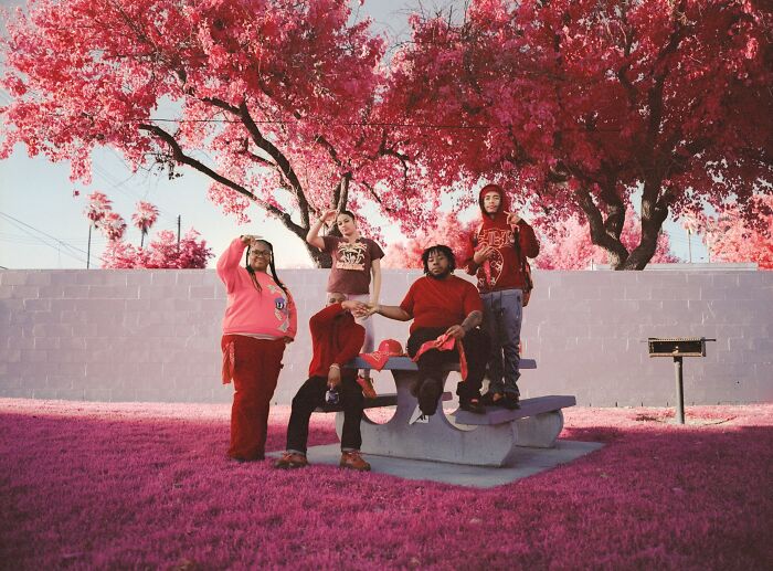 28 Winning Images From The Sony World Photography Awards 2026 That Show The World At Its Most Powerful