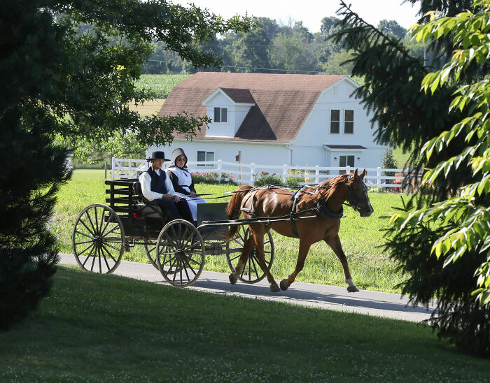 Amish ‘Healer’ Arrested On Multiple Disturbing Charges