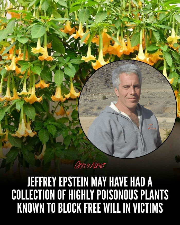 “Oddly News”: 79 Pieces Of Morbid Knowledge For People Who Can&rsquo;t Look Away From Creepy Stories