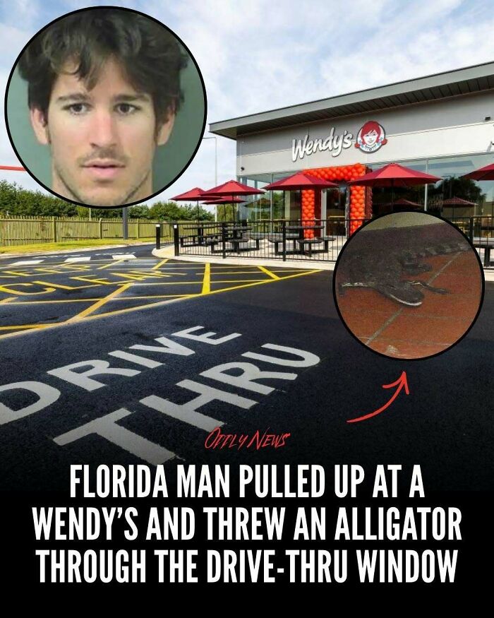 “Oddly News”: 79 Pieces Of Morbid Knowledge For People Who Can&rsquo;t Look Away From Creepy Stories