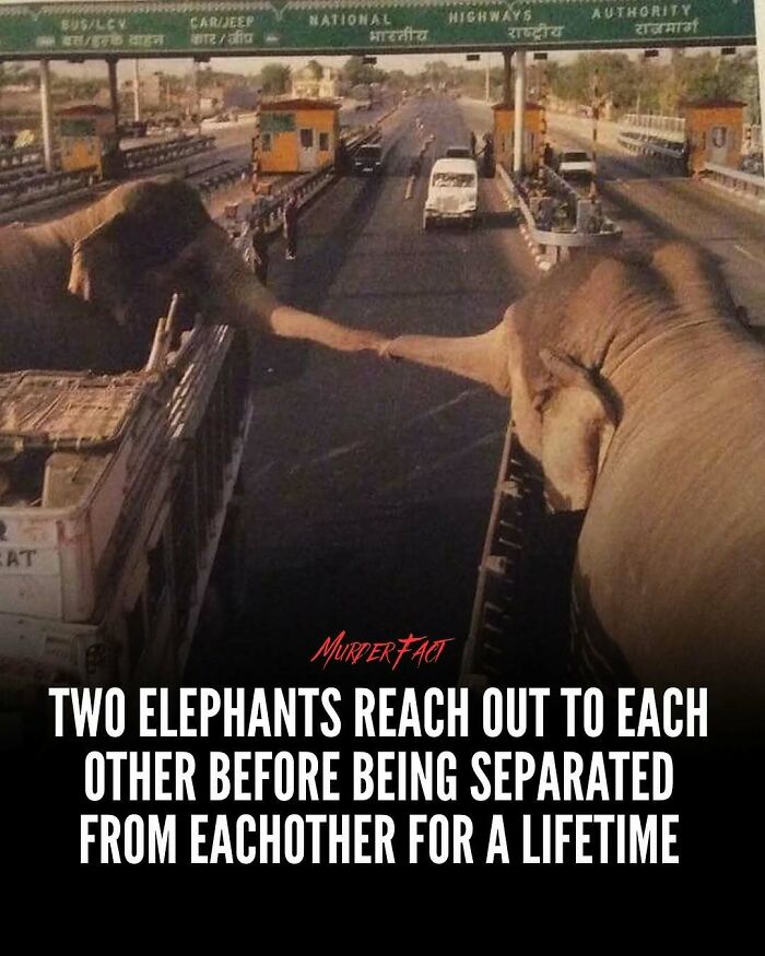 “Oddly News”: 79 Pieces Of Morbid Knowledge For People Who Can&rsquo;t Look Away From Creepy Stories