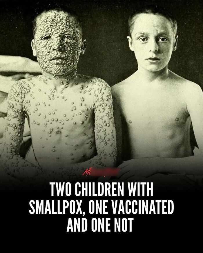 “Oddly News”: 79 Pieces Of Morbid Knowledge For People Who Can&rsquo;t Look Away From Creepy Stories