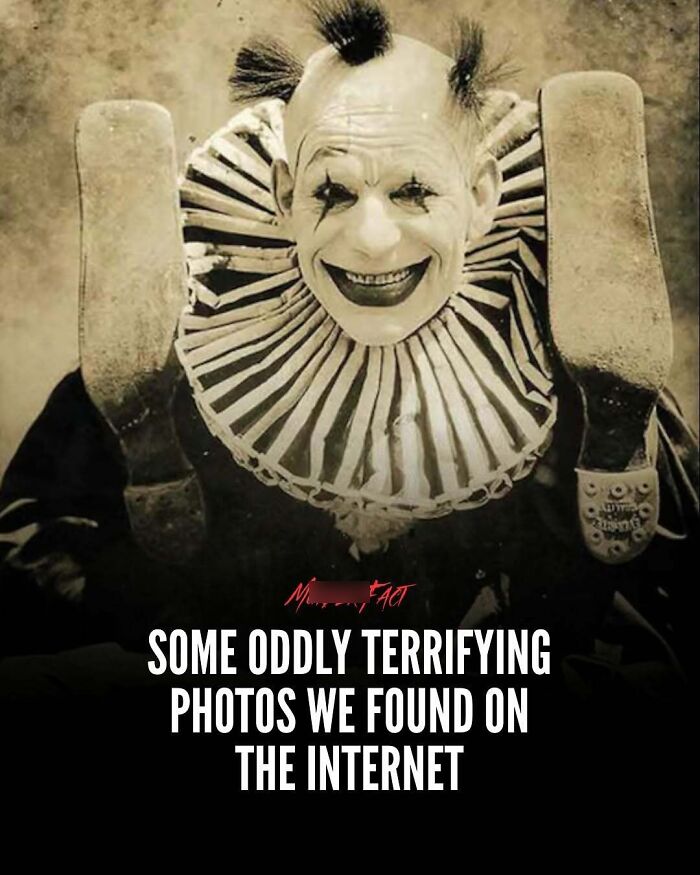 “Oddly News”: 79 Pieces Of Morbid Knowledge For People Who Can&rsquo;t Look Away From Creepy Stories