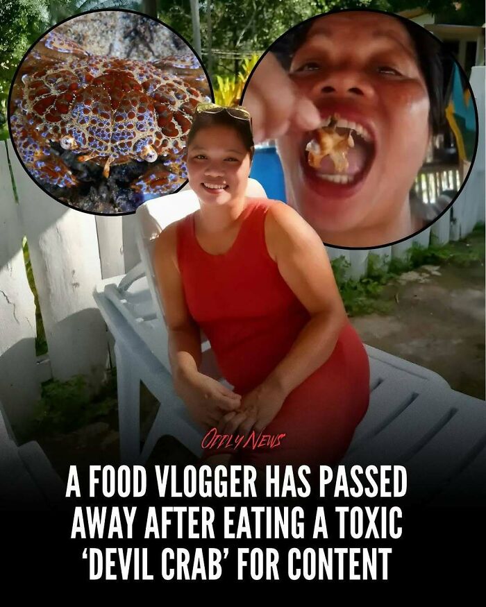 “Oddly News”: 79 Pieces Of Morbid Knowledge For People Who Can&rsquo;t Look Away From Creepy Stories