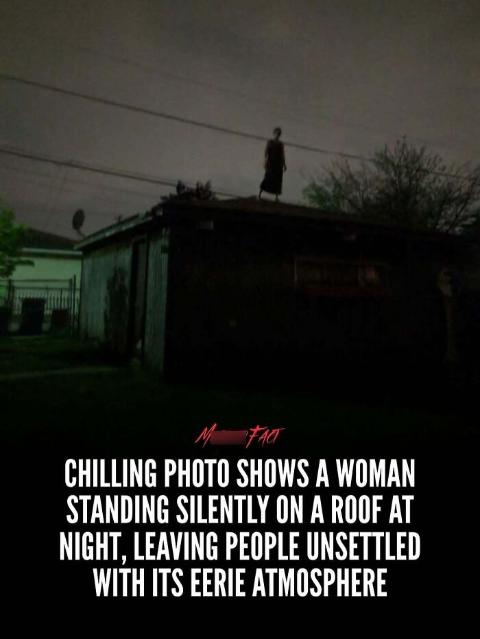 “Oddly News”: 79 Pieces Of Morbid Knowledge For People Who Can&rsquo;t Look Away From Creepy Stories