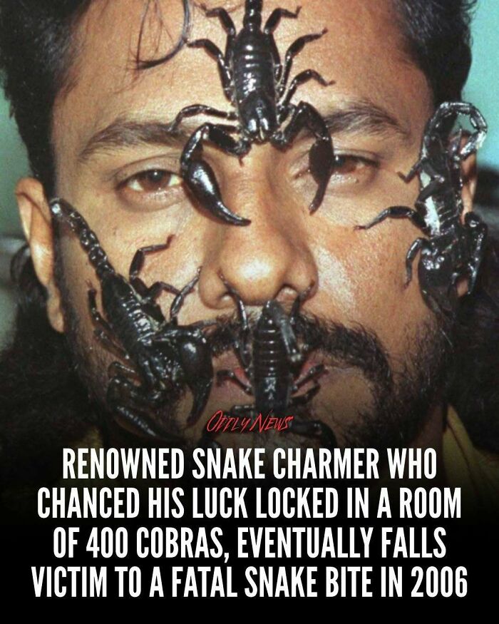 “Oddly News”: 79 Pieces Of Morbid Knowledge For People Who Can&rsquo;t Look Away From Creepy Stories