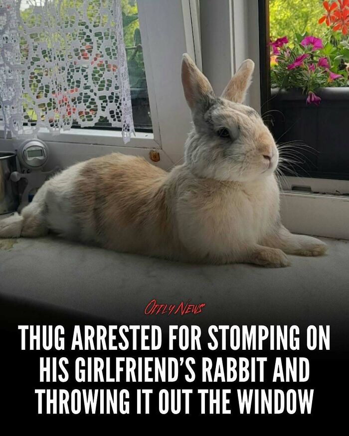 “Oddly News”: 79 Pieces Of Morbid Knowledge For People Who Can&rsquo;t Look Away From Creepy Stories