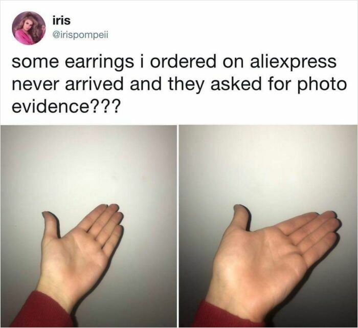 &ldquo;Lesson Learnt&rdquo;: 55 Times People Ordered From Temu Or AliExpress And Could Only Blame Themselves