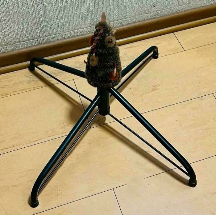 &ldquo;Lesson Learnt&rdquo;: 55 Times People Ordered From Temu Or AliExpress And Could Only Blame Themselves