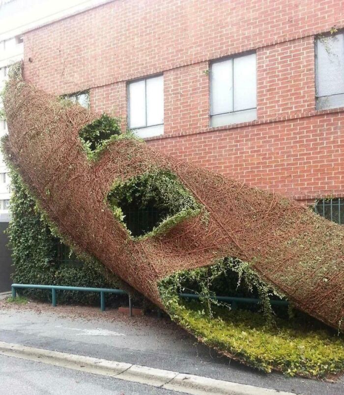 &ldquo;Decided To Fall Apart Before My Wedding&rdquo;: 59 Times Things Broke So Badly, It Looked Intentional