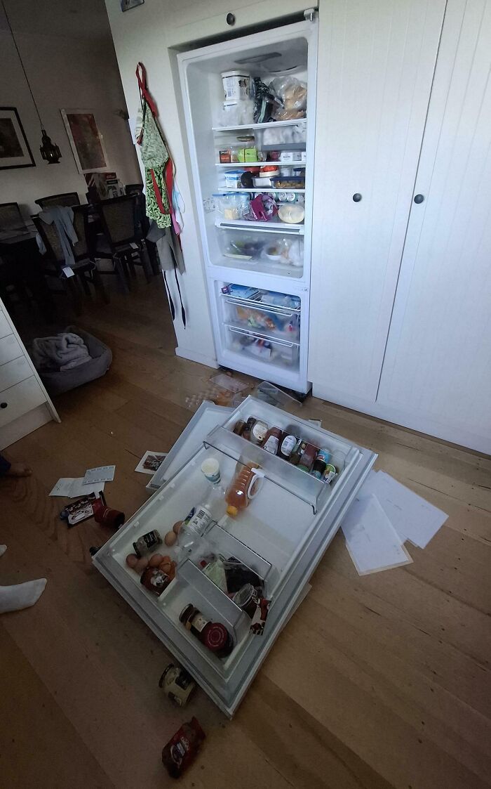 &ldquo;Decided To Fall Apart Before My Wedding&rdquo;: 59 Times Things Broke So Badly, It Looked Intentional