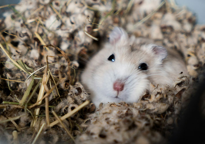 &ldquo;Makes My Brain Hurt&rdquo;: 59 People Whose Intelligence Seemed Almost Artificial