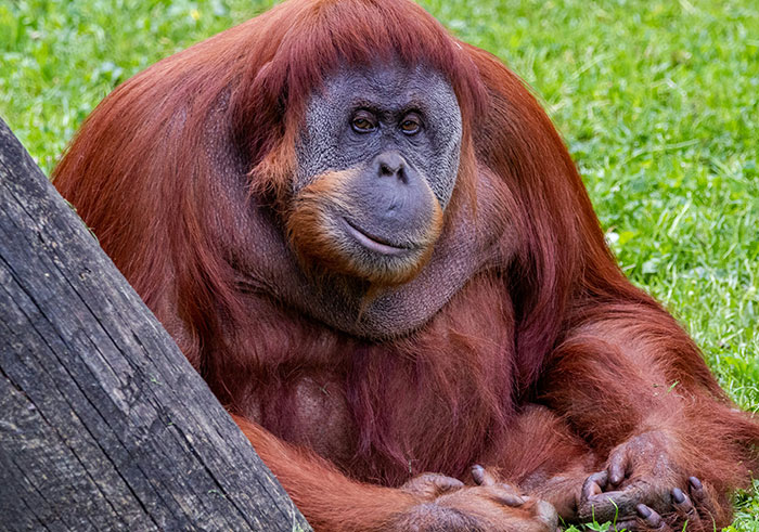 &ldquo;Makes My Brain Hurt&rdquo;: 59 People Whose Intelligence Seemed Almost Artificial