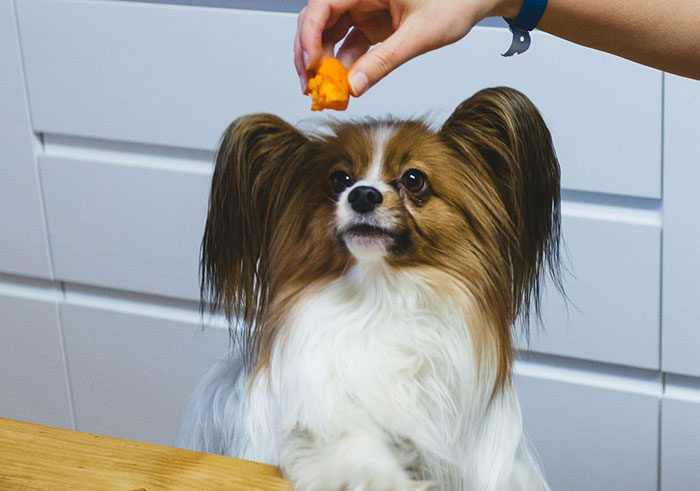 &ldquo;Makes My Brain Hurt&rdquo;: 59 People Whose Intelligence Seemed Almost Artificial