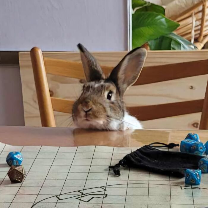 37 Mysterious Things That Happened And People Still Don&rsquo;t Have An Explanation For Them