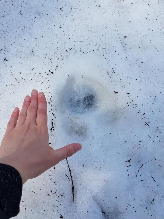 37 Mysterious Things That Happened And People Still Don&rsquo;t Have An Explanation For Them