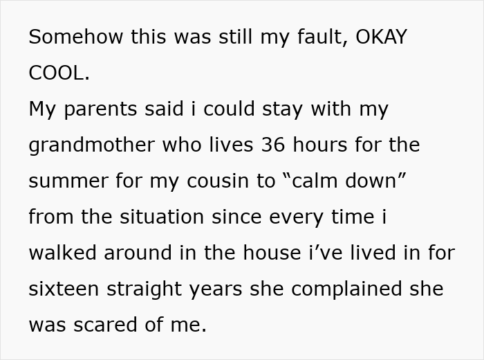 Cousin’s Repeated Lies And Theft Pushes Teen Out Of Her Parent’s House, She Cuts All Contact