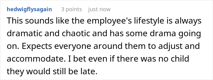 Manager Gets Accused Of &ldquo;Punishing A Parent For Struggling&rdquo; After Firing Them For Always Being Late
