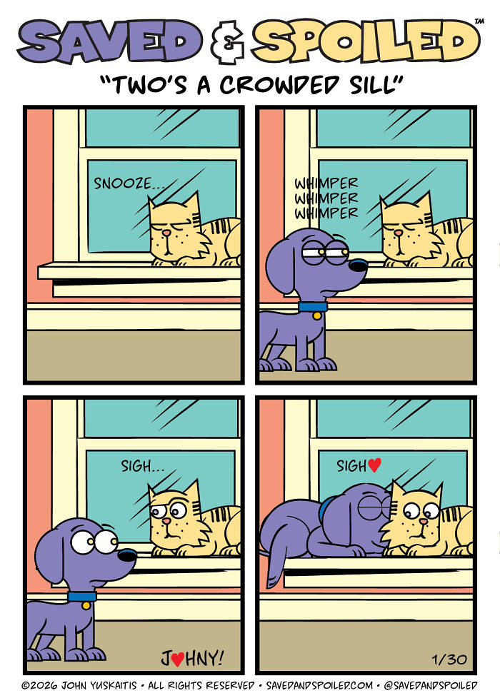 30 New Comics About My Dog And Cat, Who Couldn&rsquo;t Be More Different If They Tried