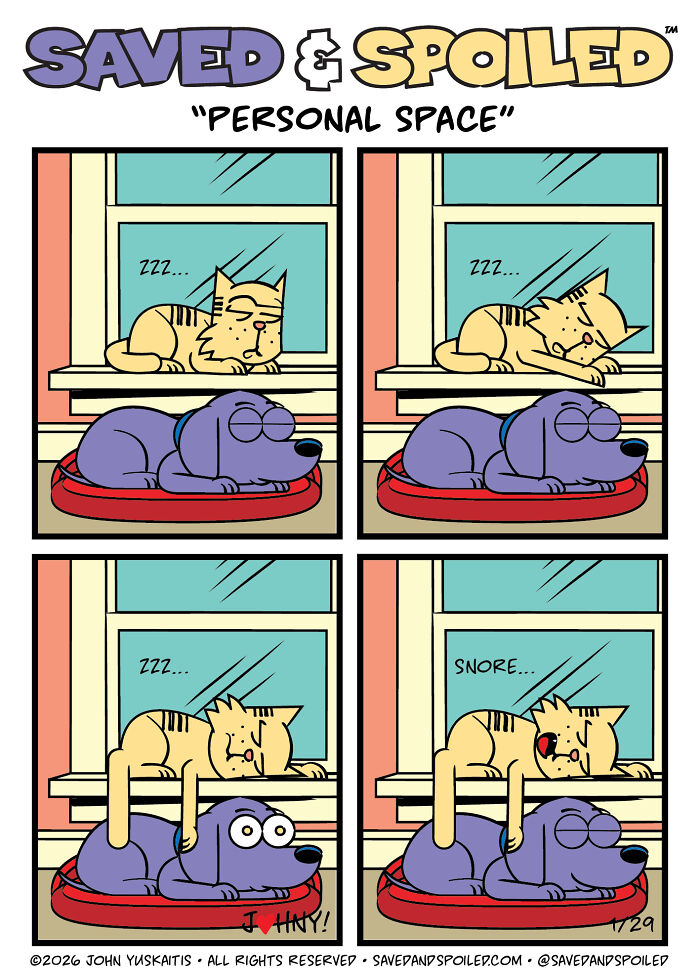 30 New Comics About My Dog And Cat, Who Couldn&rsquo;t Be More Different If They Tried