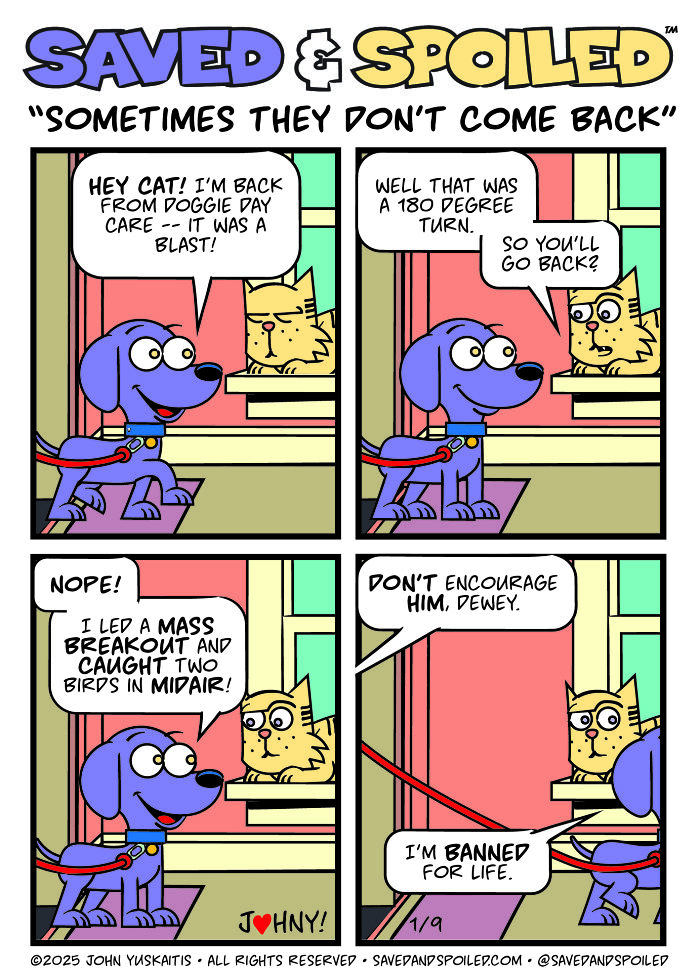 30 New Comics About My Dog And Cat, Who Couldn&rsquo;t Be More Different If They Tried