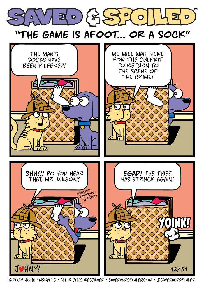 30 New Comics About My Dog And Cat, Who Couldn&rsquo;t Be More Different If They Tried
