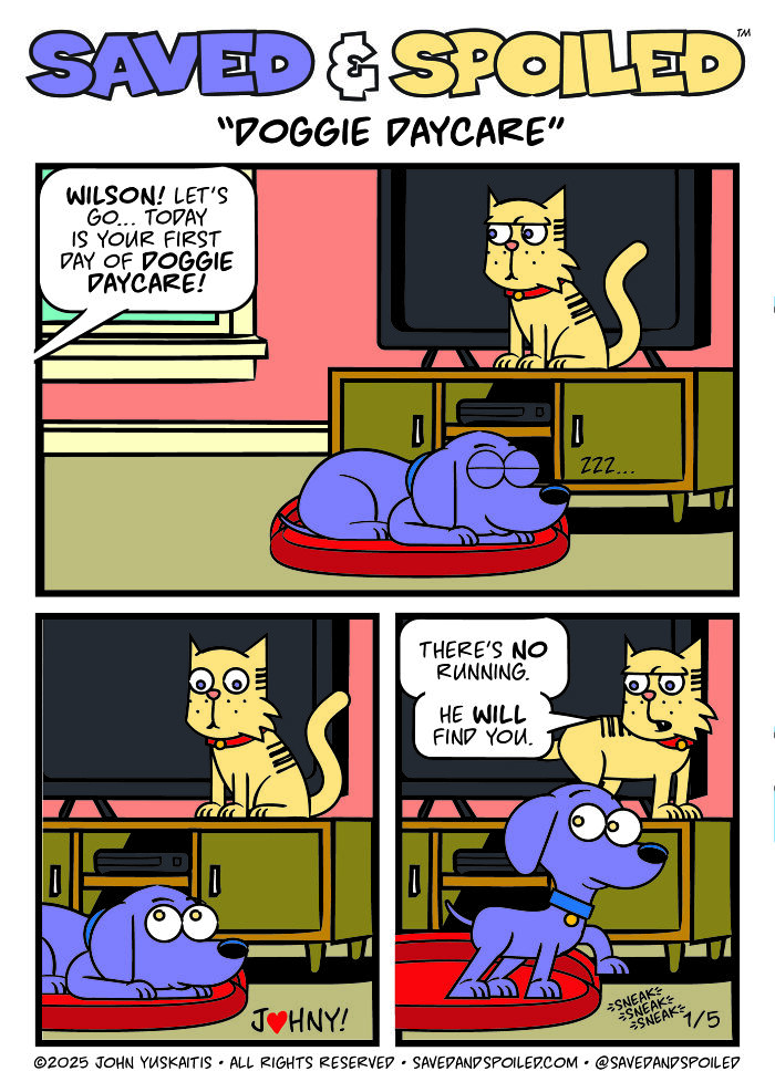 30 New Comics About My Dog And Cat, Who Couldn&rsquo;t Be More Different If They Tried