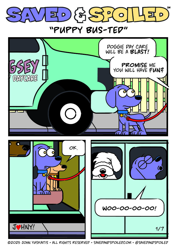 30 New Comics About My Dog And Cat, Who Couldn&rsquo;t Be More Different If They Tried