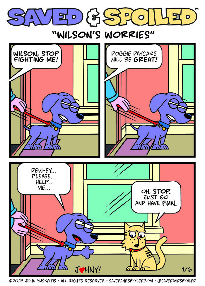 30 New Comics About My Dog And Cat, Who Couldn&rsquo;t Be More Different If They Tried