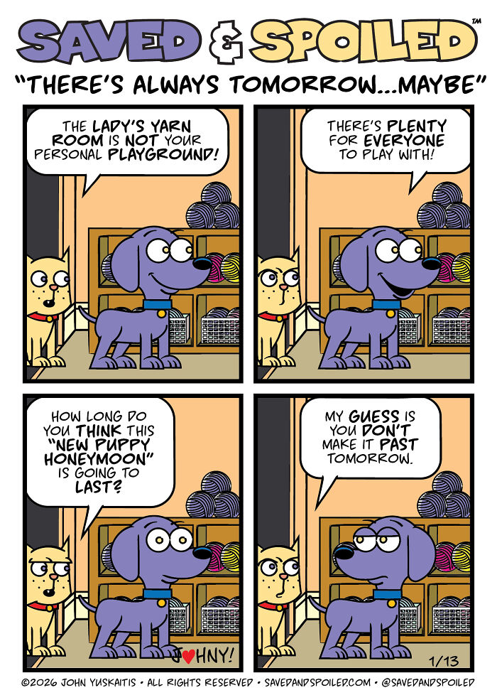 30 New Comics About My Dog And Cat, Who Couldn&rsquo;t Be More Different If They Tried